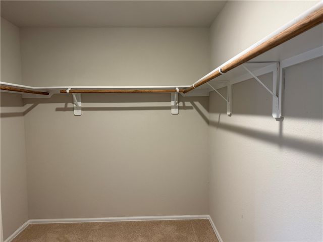 1309 Wilkins Valley St, Brenham, TX 77833