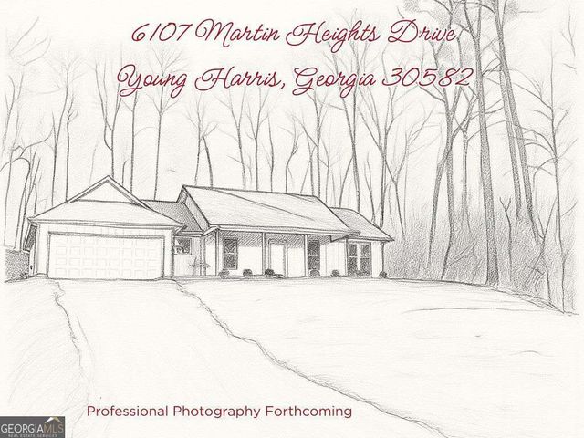 6107 Martin Heights Drive, Young Harris, GA 30582