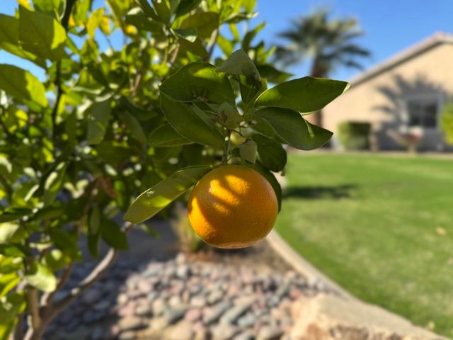 80372 Camino San Lucas, Indio, CA 92203