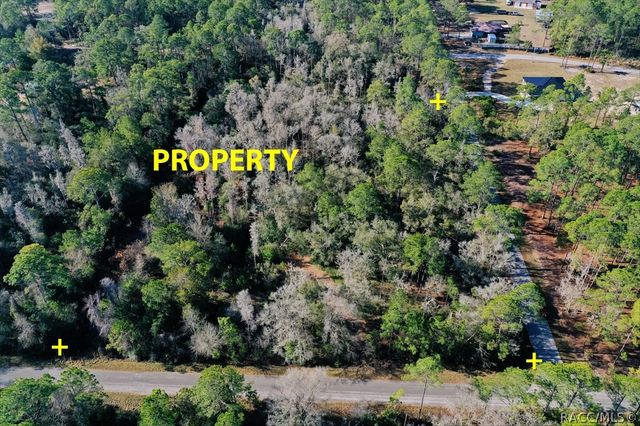 9485 N Beechtree Way, Crystal River, FL 34428