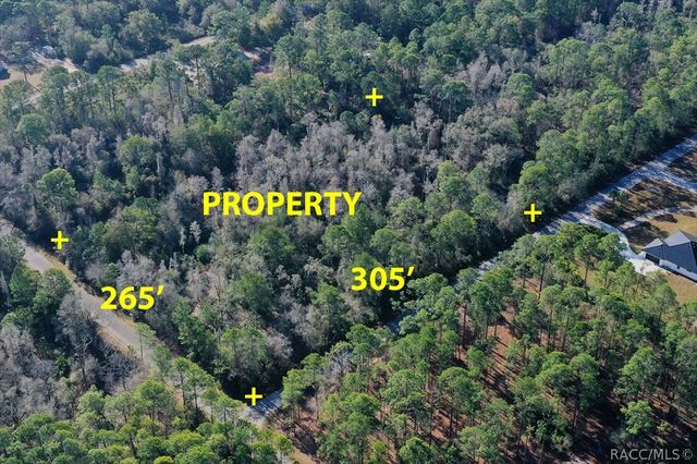 9485 N Beechtree Way, Crystal River, FL 34428