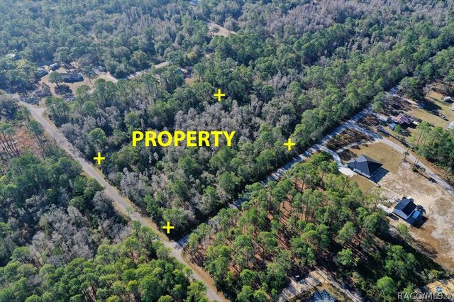 9485 N Beechtree Way, Crystal River, FL 34428