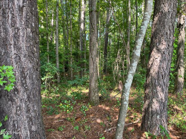 0 Green Road, Spring Hope, NC 27882