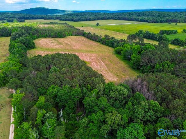 121 Syd Road, Owens Cross Roads, AL 35763