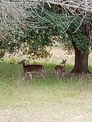 12645 SW 83RD TRAIL, Lake Butler, FL 32054