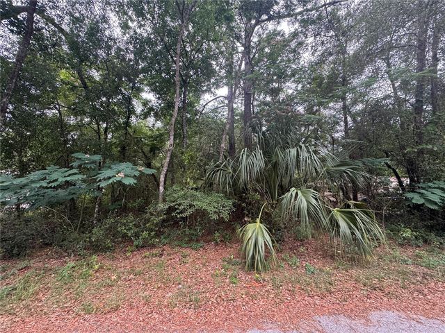 3462 E MICHAEL STREET, Inverness, FL 34453