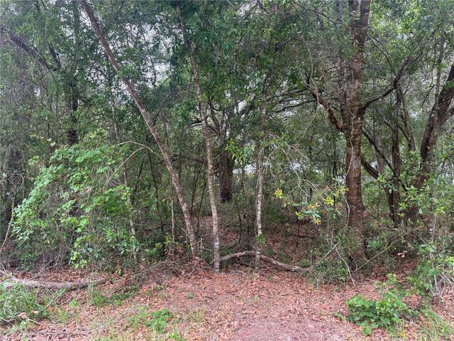 3462 E MICHAEL STREET, Inverness, FL 34453