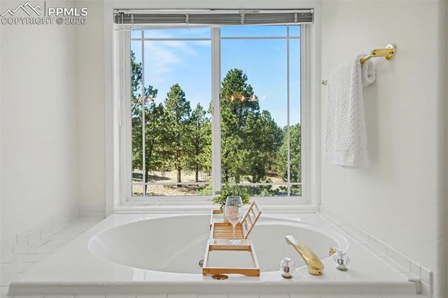 635 E Kings Deer Point, Monument, CO 80132