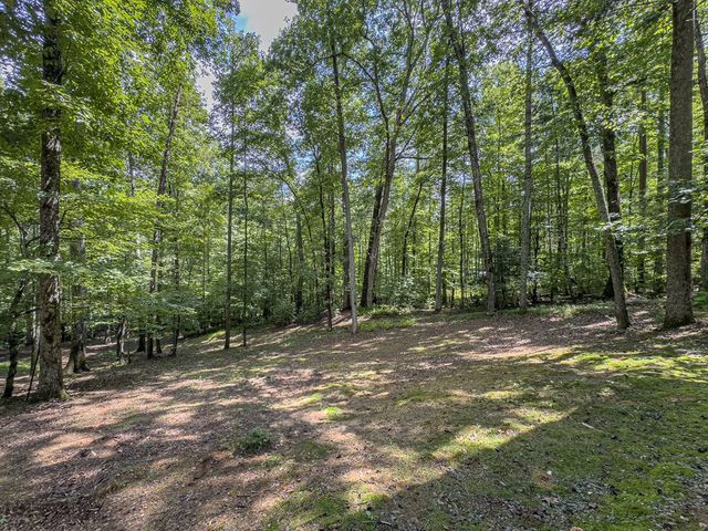 89 Box Turtle Lane, Murphy, NC 28906