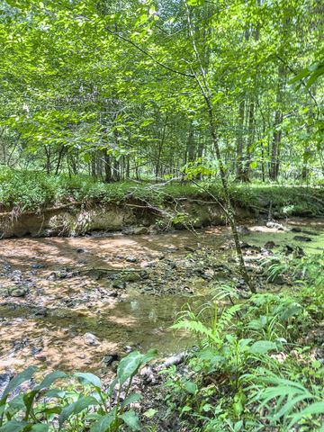 89 Box Turtle Lane, Murphy, NC 28906