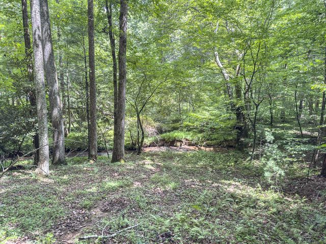 89 Box Turtle Lane, Murphy, NC 28906