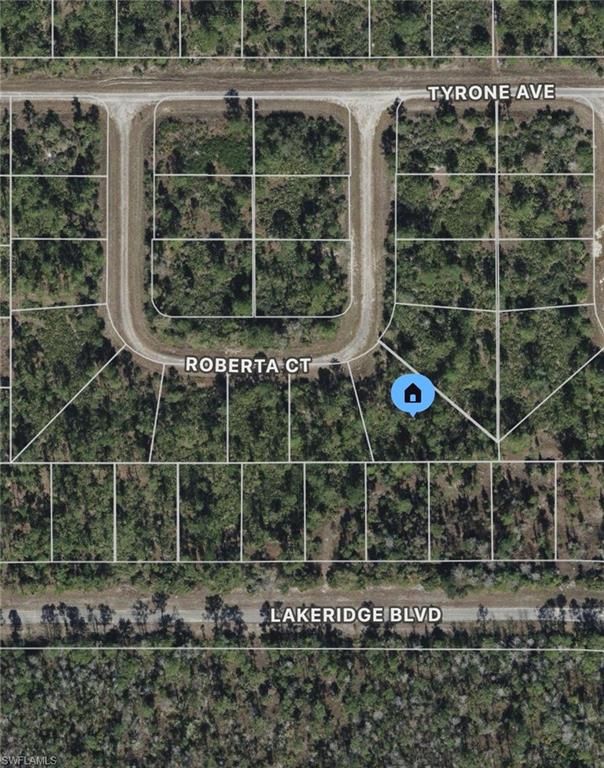 325 Roberta CT, LEHIGH ACRES, FL 33972 — exterior