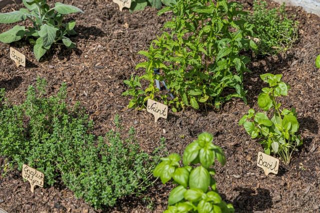 2614 Ohio Avenue, Redwood City, CA 94061