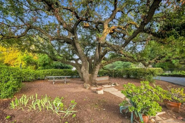 1954 Oak View Rd, Alpine, CA 91901