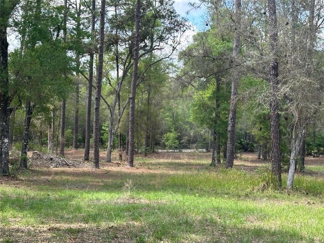 12501 SW HIGHWAY 200, Dunnellon, FL 34432
