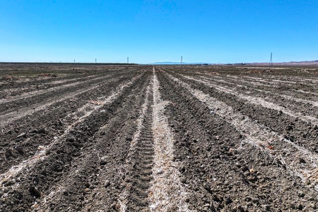 0 W Packard Avenue, Coalinga, CA 93210