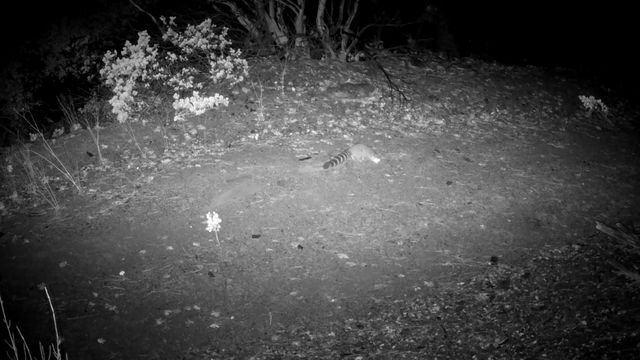 000 Hwy 299E, Bella Vista, CA 96008
