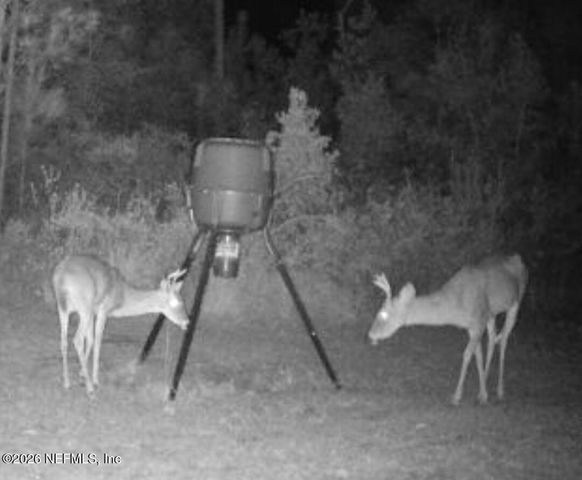 9910 W STATE ROAD 100, Starke, FL 32091