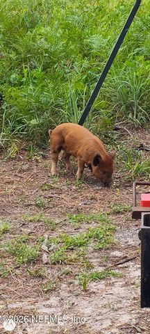 9910 W STATE ROAD 100, Starke, FL 32091