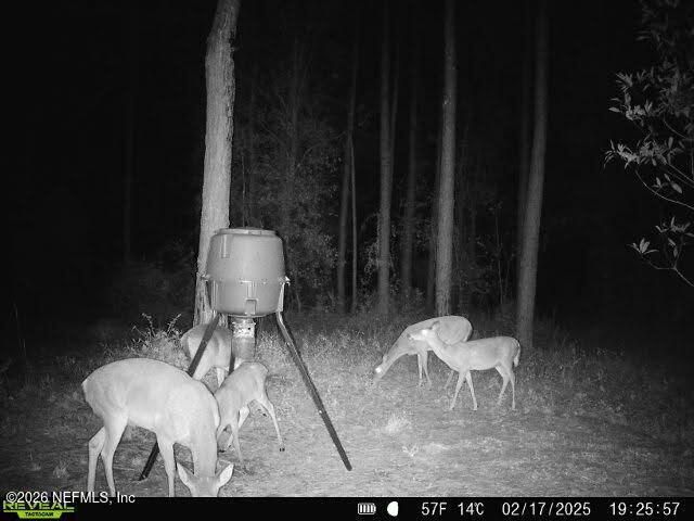9910 W STATE ROAD 100, Starke, FL 32091