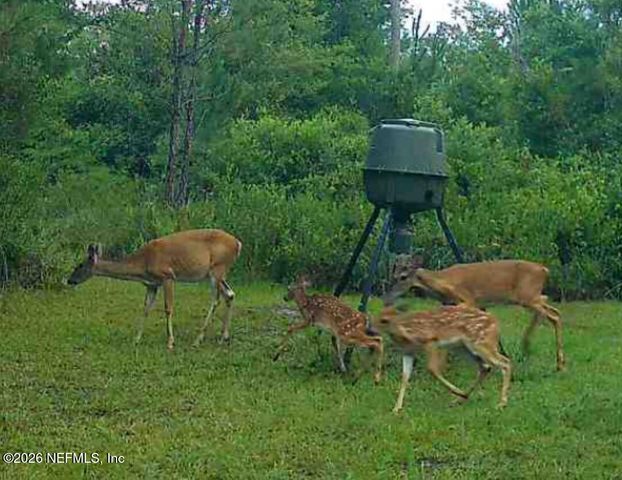 9910 W STATE ROAD 100, Starke, FL 32091