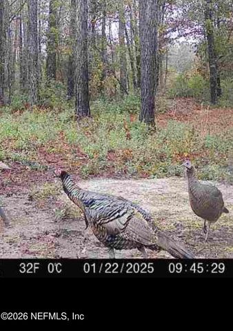 9910 W STATE ROAD 100, Starke, FL 32091