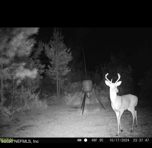 9910 W STATE ROAD 100, Starke, FL 32091