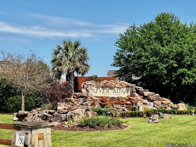 41152 New Orleans Dr, Sorrento, LA 70778