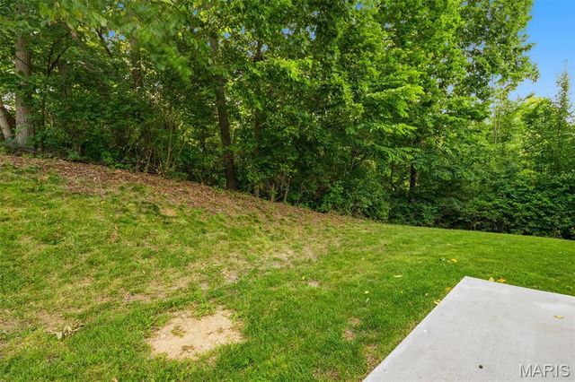29 Great Owls Way, Winfield, MO 63389
