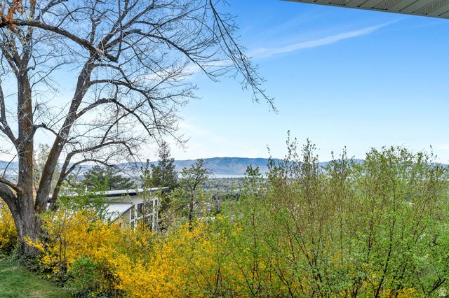 2025 OAK LN, Provo, UT 84604