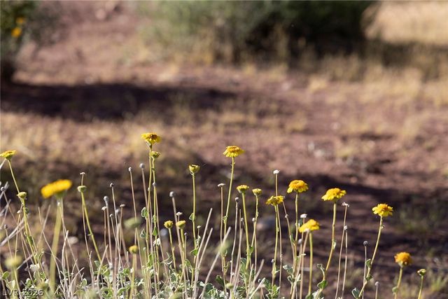 14525 Heyer Way, Las Vegas, NV 89161