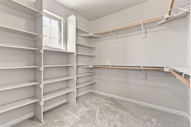 1842 Holmby Court, Castle Rock, CO 80104