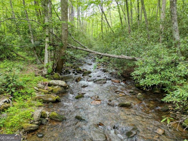 180 Dream Catcher Cove, Hayesville, NC 28904
