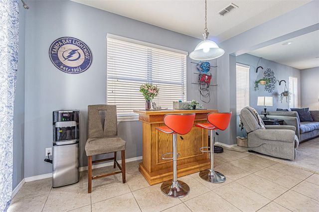 9205 ENGLISH OAKS LANE, Riverview, FL 33578