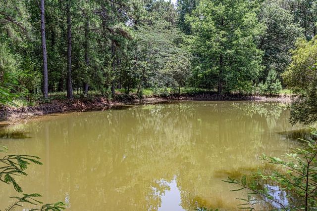 1002 Willson Road, Livingston, TX 77351