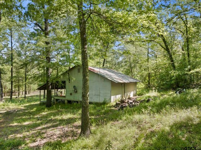 307 Fish Trap Ln, Naples, TX 75568