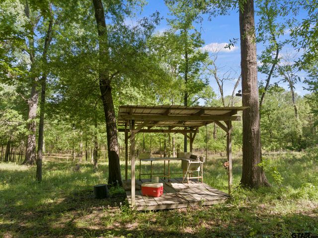 307 Fish Trap Ln, Naples, TX 75568