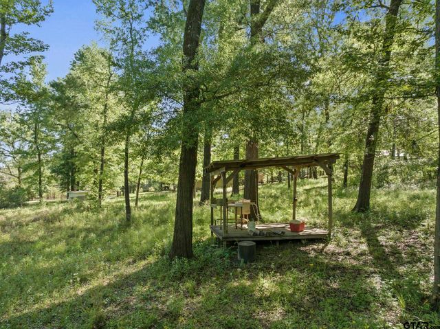 307 Fish Trap Ln, Naples, TX 75568