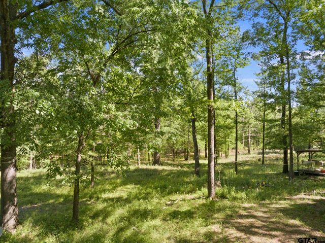 307 Fish Trap Ln, Naples, TX 75568