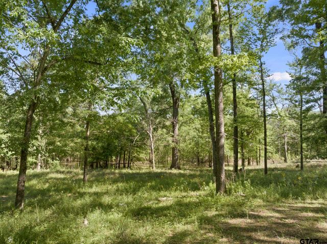 307 Fish Trap Ln, Naples, TX 75568