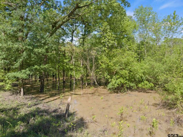 307 Fish Trap Ln, Naples, TX 75568