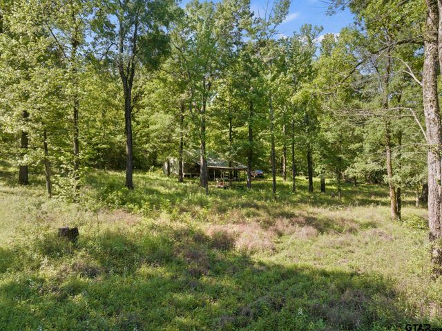 307 Fish Trap Ln, Naples, TX 75568