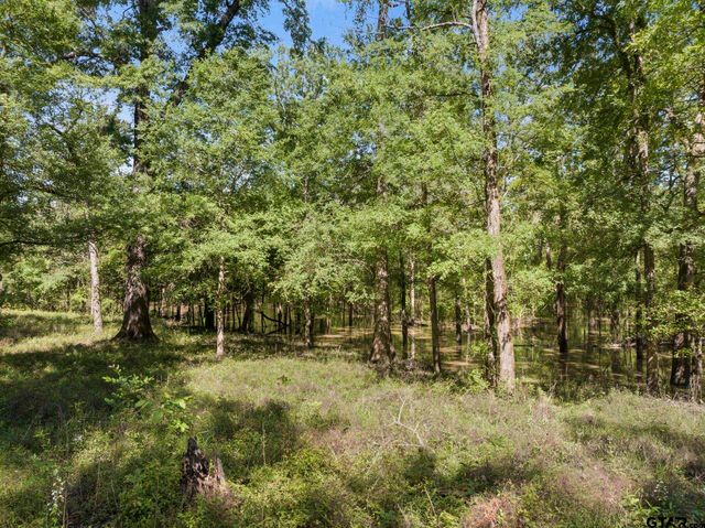 307 Fish Trap Ln, Naples, TX 75568