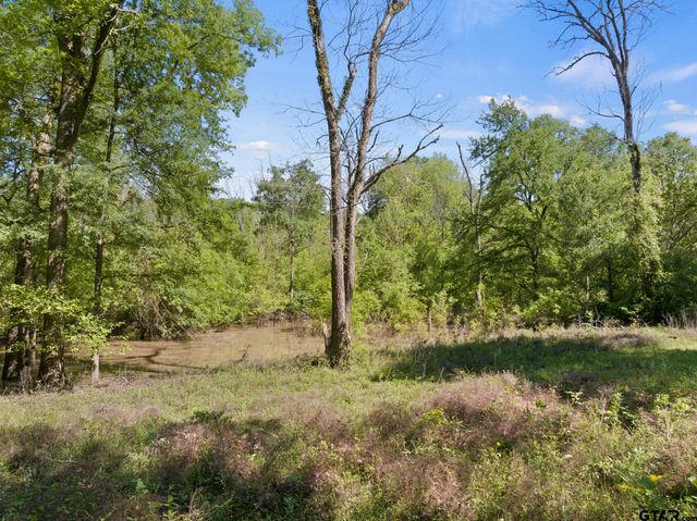 307 Fish Trap Ln, Naples, TX 75568