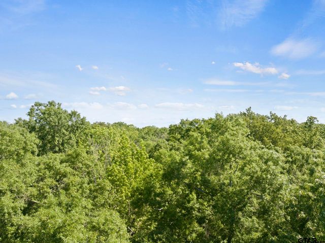 307 Fish Trap Ln, Naples, TX 75568