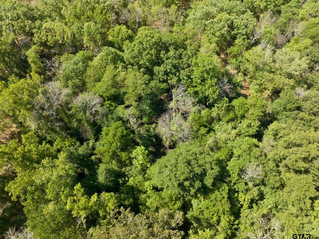 307 Fish Trap Ln, Naples, TX 75568