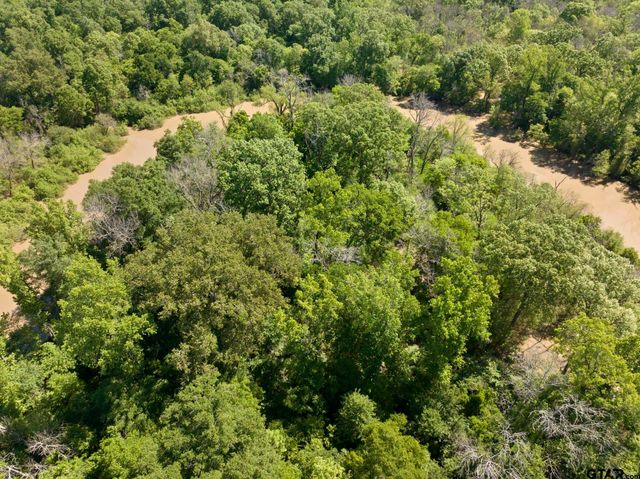 307 Fish Trap Ln, Naples, TX 75568