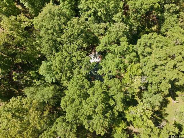 307 Fish Trap Ln, Naples, TX 75568