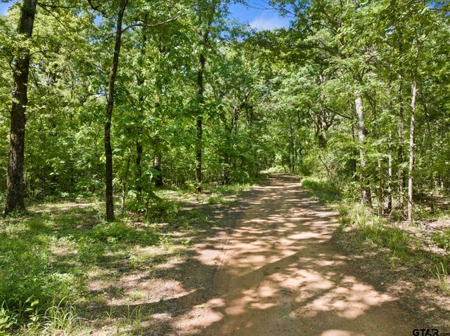 307 Fish Trap Ln, Naples, TX 75568