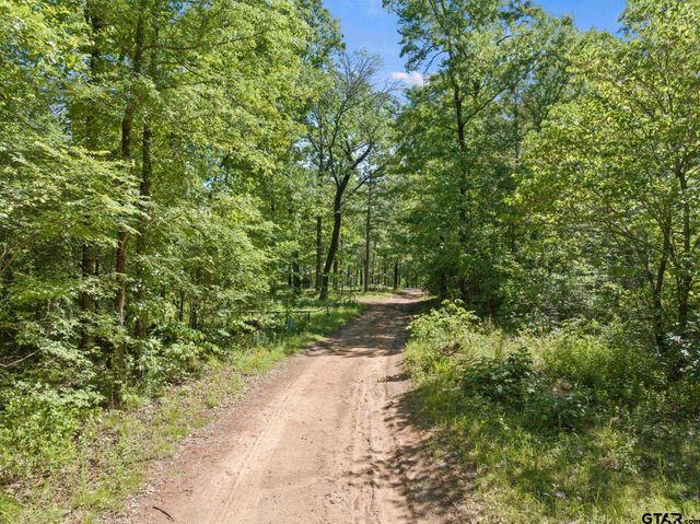 307 Fish Trap Ln, Naples, TX 75568